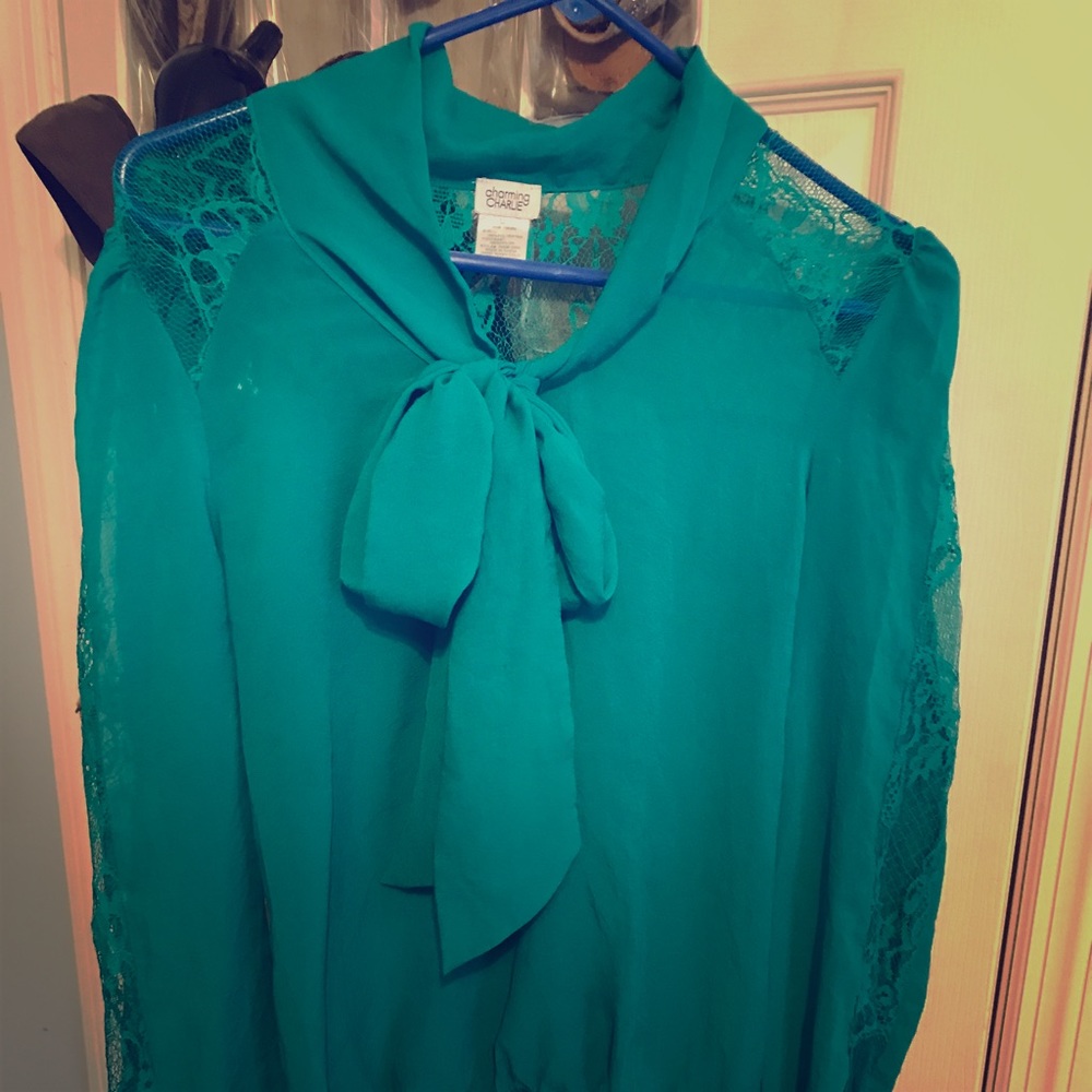 Charming Charlie Size M Sheer Blouse