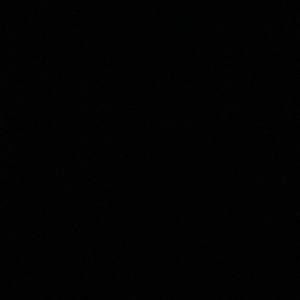 Meet your Posher, Joy