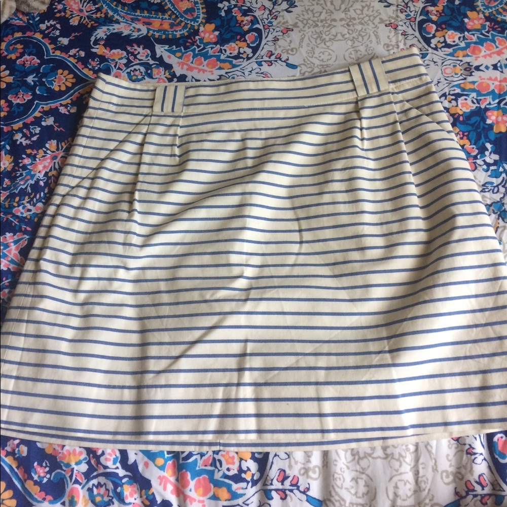 The Limited Skirt, size 10