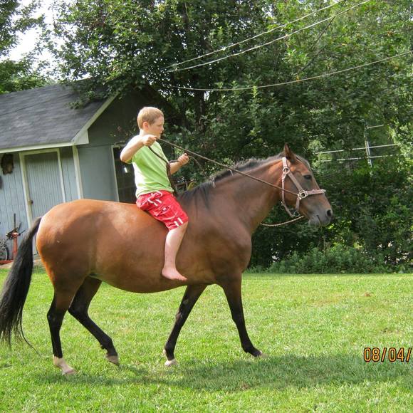 Meet your Posher, Andrew - Picture 1 of 1