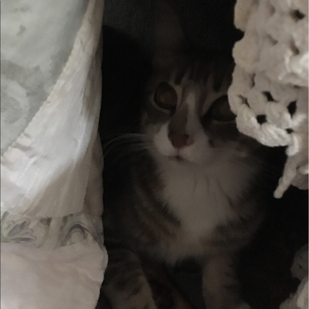 Meet your Posher, Kara