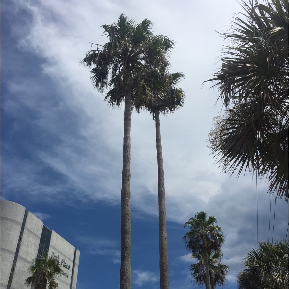 Meet your Posher, Corey