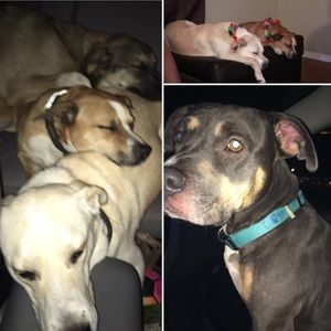 Meet your Posher, Charlestine