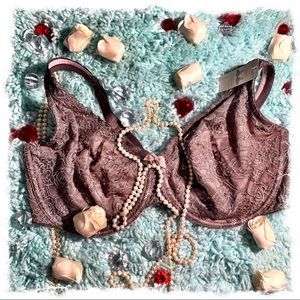 Elegant Cacique Lace Bra   NWT