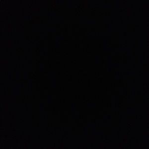 Meet your Posher, Rahil