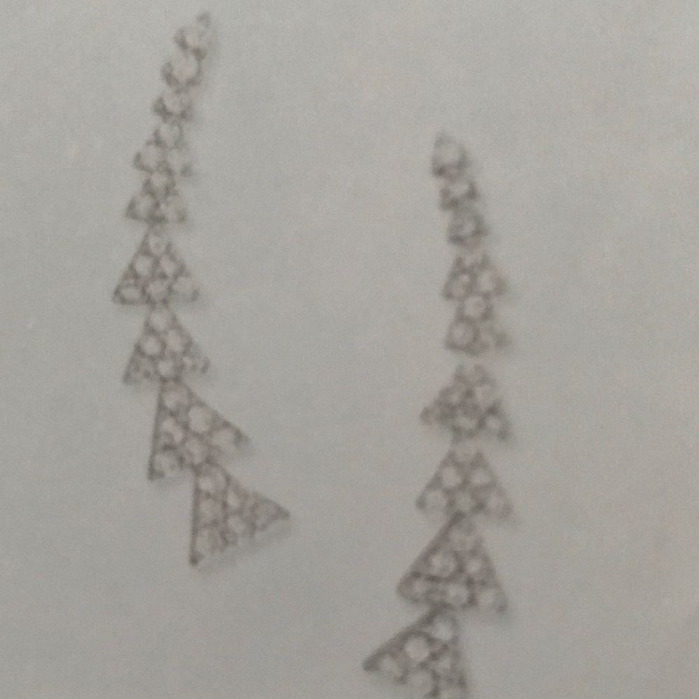 Pace earrings, ear climbers