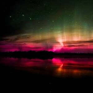 Meet your Posher, Peter