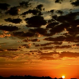 Meet your Posher, Tony