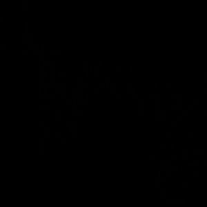 Meet your Posher, Melvin