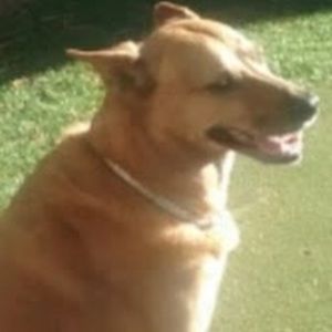 Meet your Posher, E. beth k.