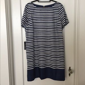 The Limited Shift Dress