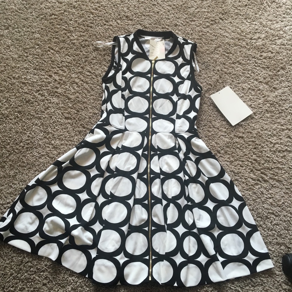 Women's Boston Proper Size 2 dress