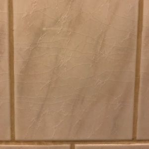 Meet your Posher, Luis