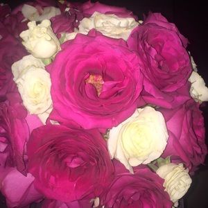 Meet your Posher, Elle