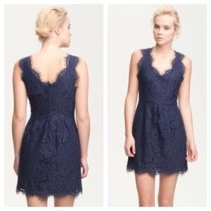 🔥REDUCED This is a beautiful navy Joie lace dress