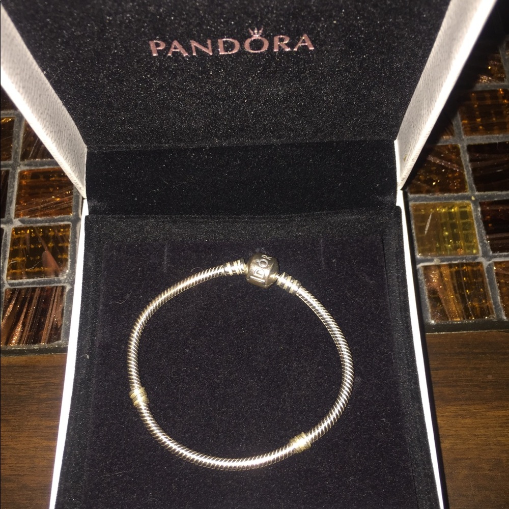 Iconic silver charm bracelet