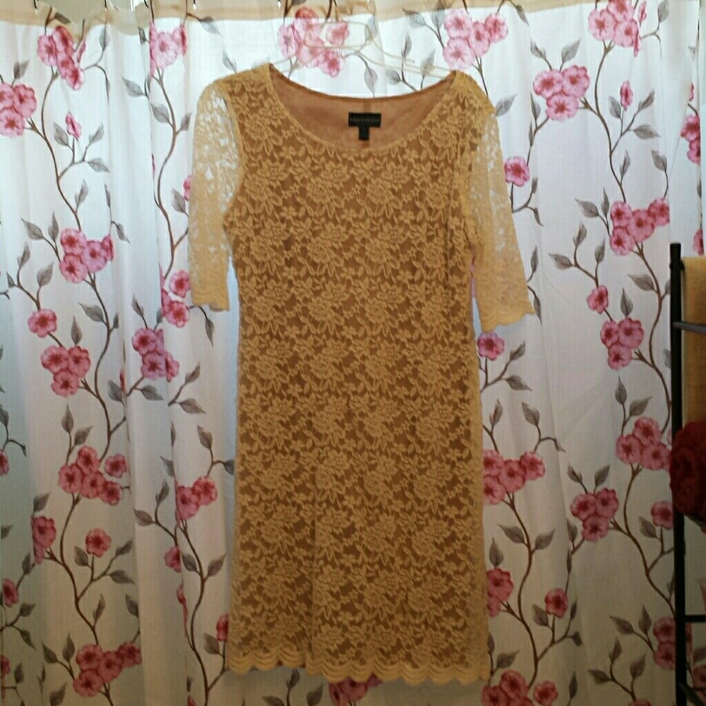Amazing lace dress. Cream lace with nude lining.