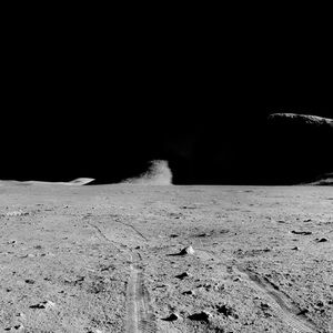 Meet your Posher, Peter