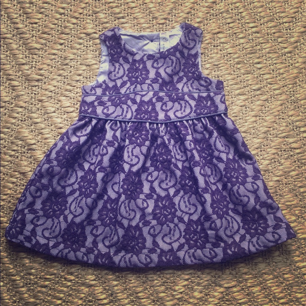 Beautiful Cherokee Purple Formal Dress!