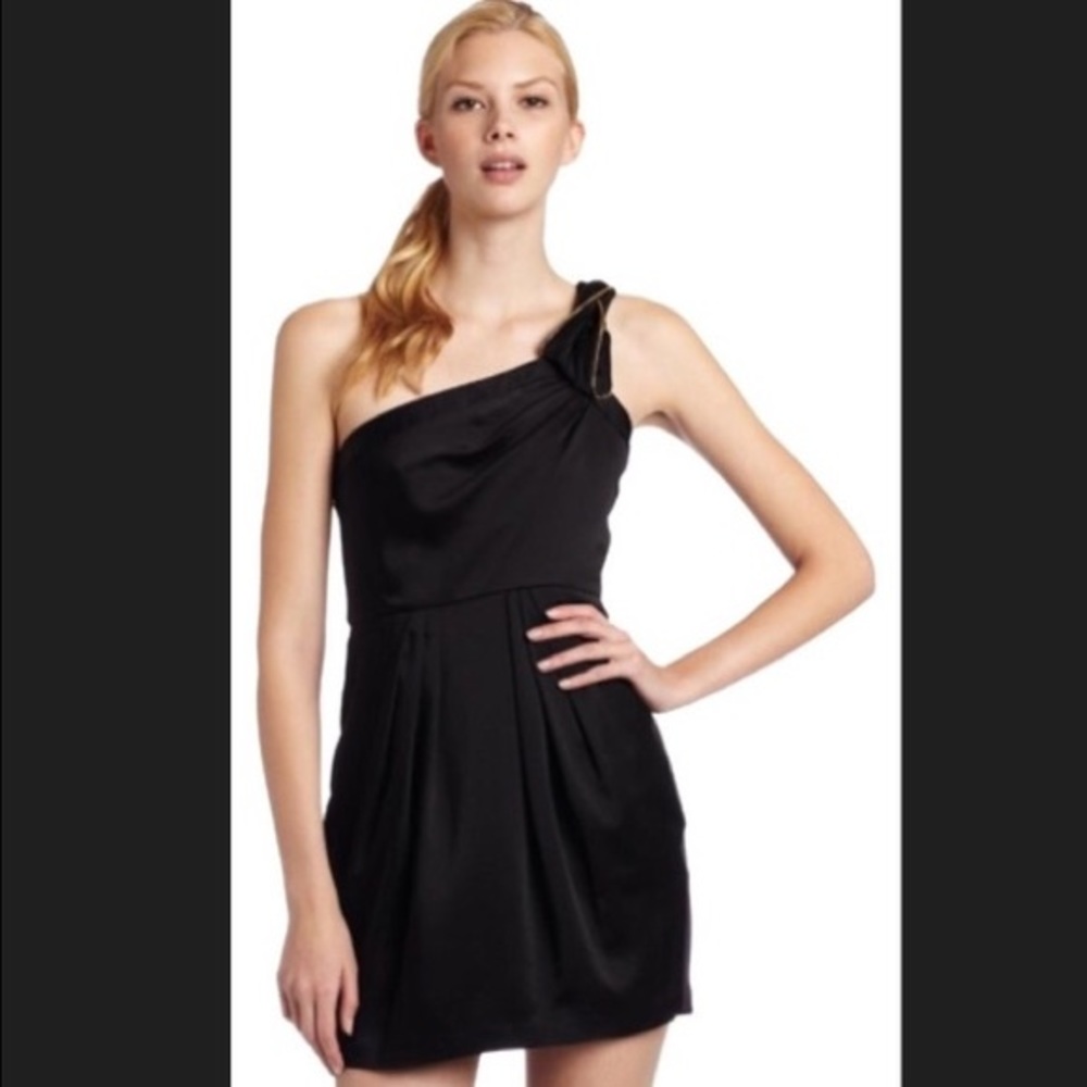 BCBG Monaco Dress