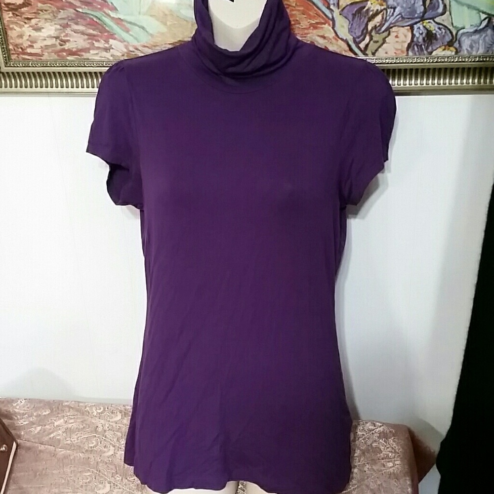 Short sleeve turtleneck Jersey from The Limited