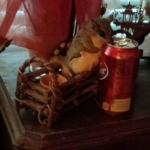 Meet your Posher, Christina