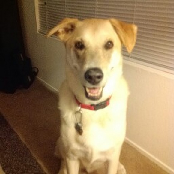 Meet your Posher, Kristina - Picture 1 of 1