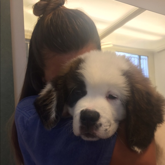 Meet your Posher, Madison - Picture 1 of 1