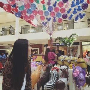 Meet your Posher, Merry