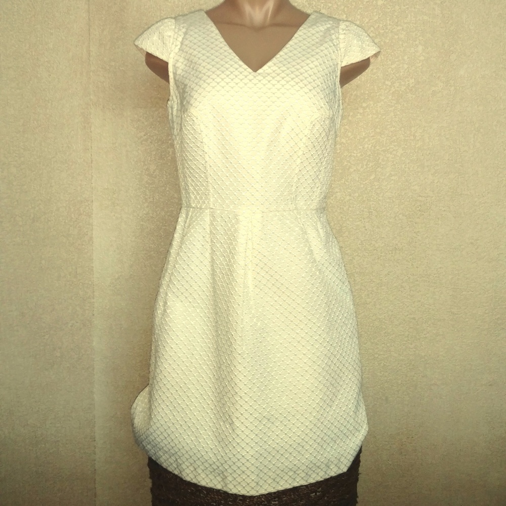 Ivory Embroidered Dress NWOT