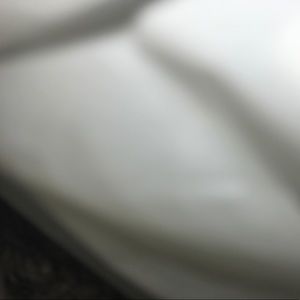 Meet your Posher, Jayleon