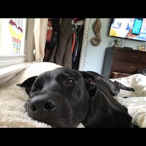 Meet your Posher, Elise