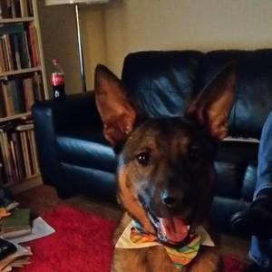 Meet your Posher, Molly