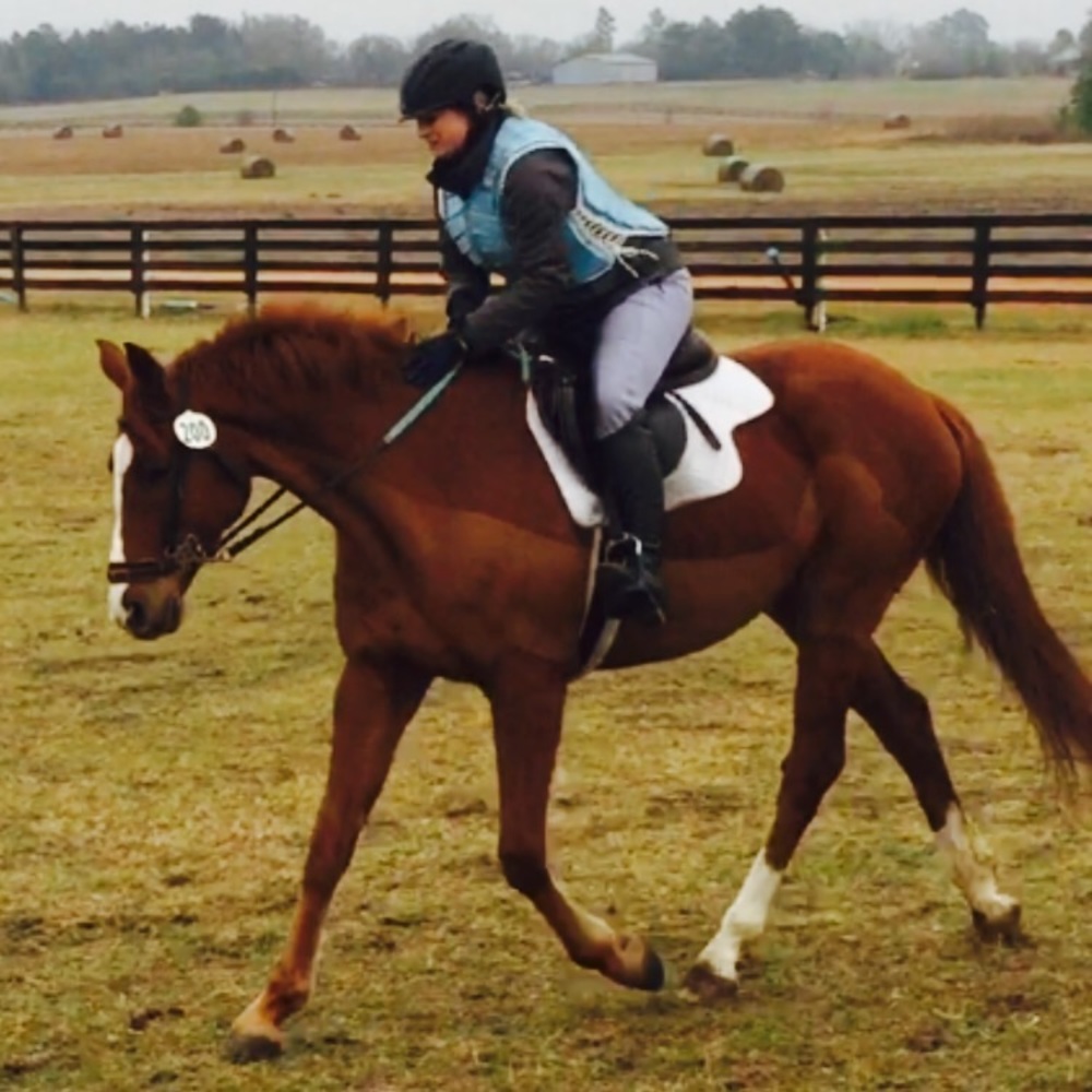 Meet your Posher, Merrilyn