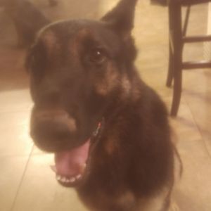 Meet your Posher, Jason