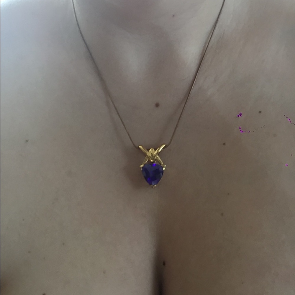 Technibond purple necklace
