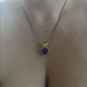 Technibond purple necklace