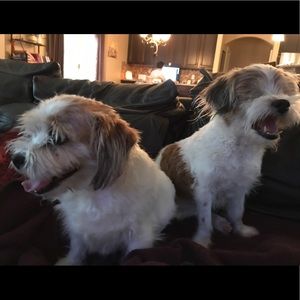 Meet your Posher, Ellie