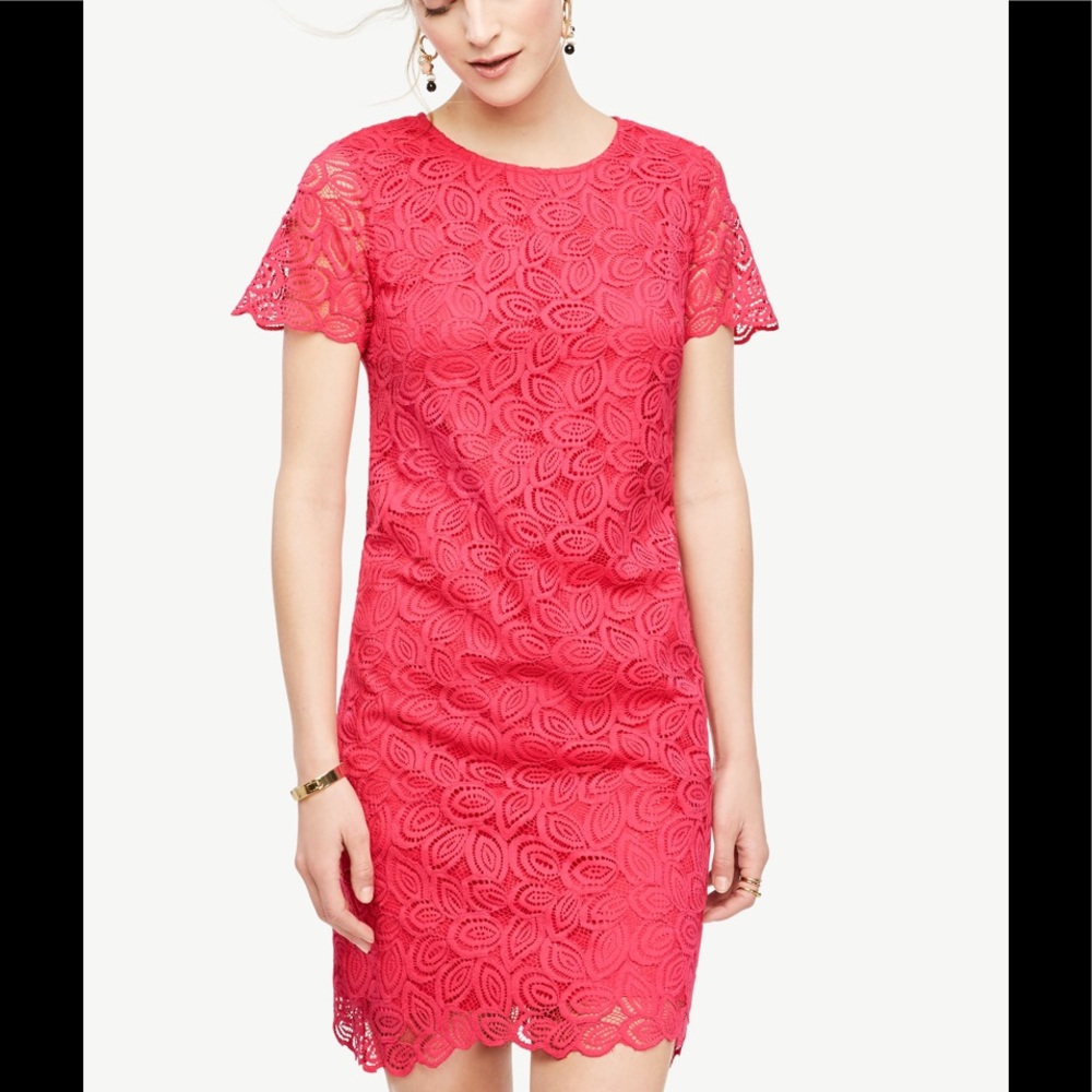 Ann Taylor leaf lace dress 👗