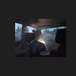 Meet your Posher, Taani