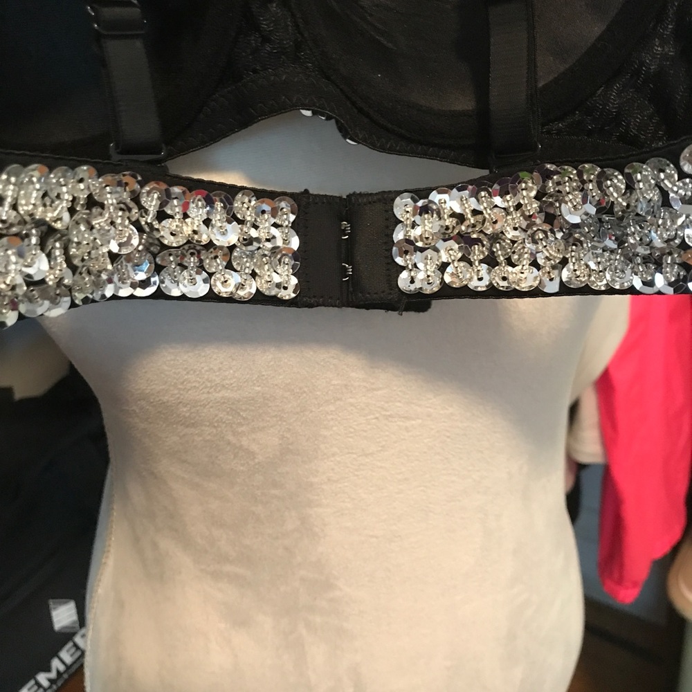HP๐ NWT. Silver Sequin Bra. - Picture 5 of 5