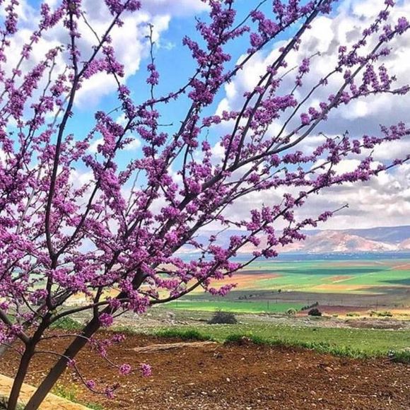 Meet your Posher, Sadaf - Picture 1 of 1