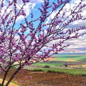 Meet your Posher, Sadaf