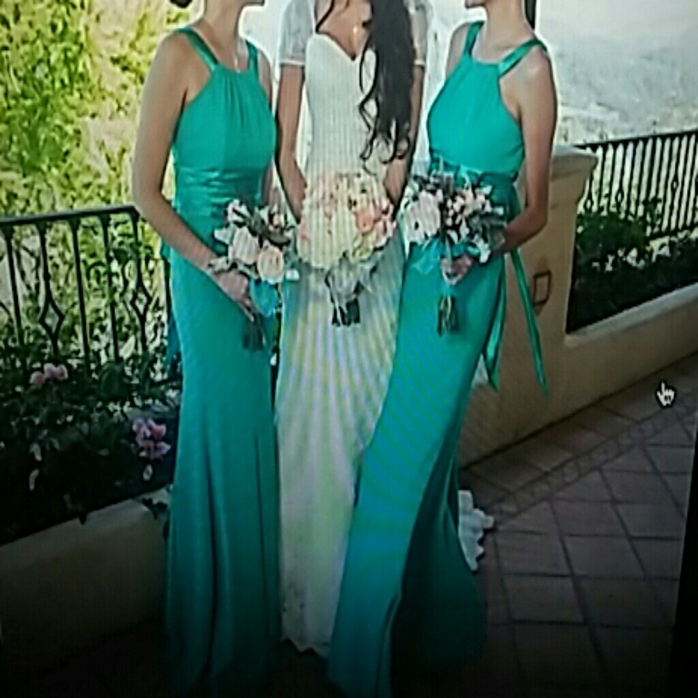 TWO David's Bridal Bridesmaids Gowns