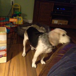 Meet your Posher, Kelly