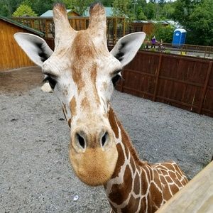 Meet your Posher, Joleen