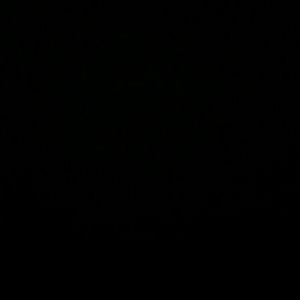 Meet your Posher, Kerry