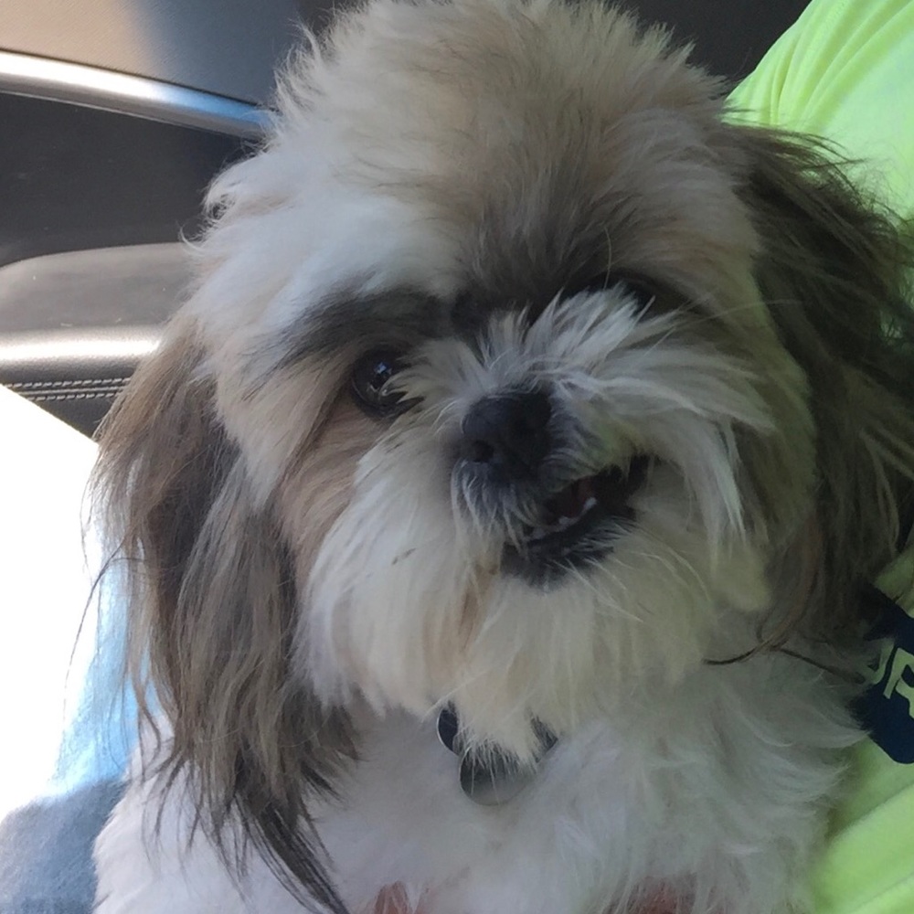 Meet your Posher, Kolton