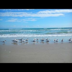 Meet your Posher, Jacqueline