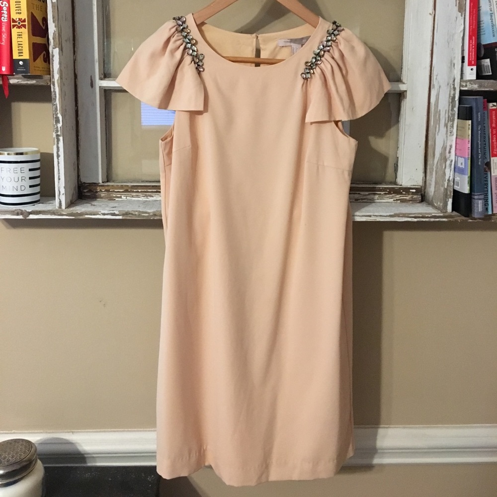 Flutter Sleeve Shift Dress with Jewel Detail
